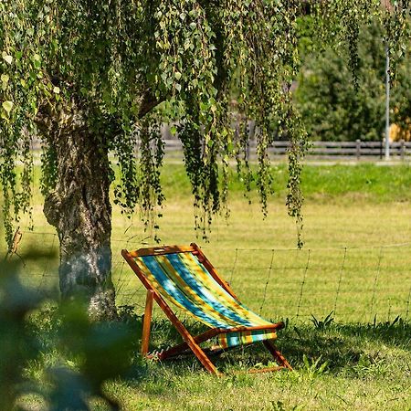 Appartements Prunner Gmünd Dış mekan fotoğraf